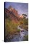 Morning Light at Zion Canyon Virgin River Utah-Vincent James-Stretched Canvas