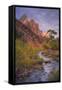 Morning Light at Zion Canyon Virgin River Utah-Vincent James-Framed Stretched Canvas