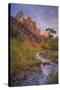 Morning Light at Zion Canyon Virgin River Utah-Vincent James-Stretched Canvas