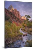 Morning Light at Zion Canyon Virgin River Utah-Vincent James-Mounted Photographic Print