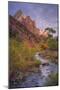 Morning Light at Zion Canyon Virgin River Utah-Vincent James-Mounted Photographic Print