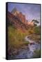 Morning Light at Zion Canyon Virgin River Utah-Vincent James-Framed Stretched Canvas