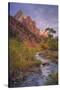 Morning Light at Zion Canyon Virgin River Utah-Vincent James-Stretched Canvas