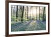 Morning Light - Detail-John Harper-Framed Giclee Print