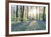 Morning Light - Detail-John Harper-Framed Giclee Print