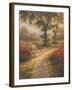 Morning Light II-Michael Marcon-Framed Art Print