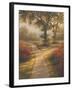 Morning Light II-Michael Marcon-Framed Art Print