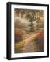 Morning Light II-Michael Marcon-Framed Art Print