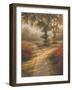 Morning Light II-Michael Marcon-Framed Premium Giclee Print