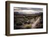 Morning Light Illuminates the Desert Landscape of Jem Trail Near Zion National Park, Utah-Dan Holz-Framed Photographic Print