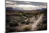 Morning Light Illuminates the Desert Landscape of Jem Trail Near Zion National Park, Utah-Dan Holz-Mounted Photographic Print