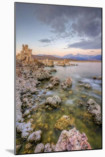 Morning Light Mono Lakeside, Eastern Sierras, California-Vincent James-Mounted Photographic Print