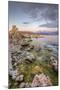 Morning Light Mono Lakeside, Eastern Sierras, California-Vincent James-Mounted Photographic Print