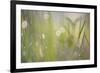 Morning Light No. 2-Ulpi Gonzalez-Framed Photographic Print