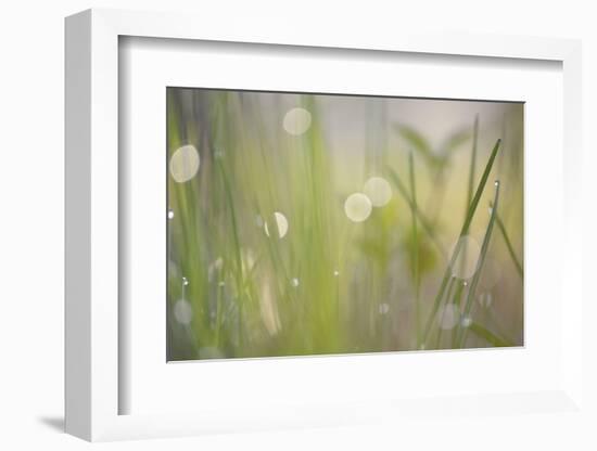 Morning Light No. 2-Ulpi Gonzalez-Framed Photographic Print