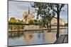 Morning light on Cathedral Notre Dame and the Seine River, Paris, France.-Darrell Gulin-Mounted Photographic Print