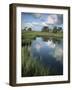 Morning Light on Chimney Creek Pond, Savannah, Georgia, USA-Joanne Wells-Framed Photographic Print