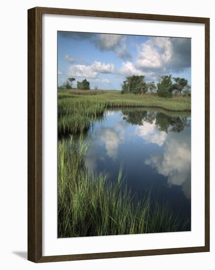 Morning Light on Chimney Creek Pond, Savannah, Georgia, USA-Joanne Wells-Framed Photographic Print