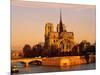 Morning Light on Notre Dame, Paris, France-Walter Bibikow-Mounted Photographic Print