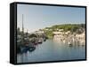 Morning Light on the River Looe at Looe in Cornwall, England, United Kingdom, Europe-David Clapp-Framed Stretched Canvas