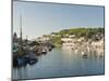 Morning Light on the River Looe at Looe in Cornwall, England, United Kingdom, Europe-David Clapp-Mounted Photographic Print