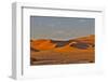 Morning light on the sand dunes of Sossusvlei, Namibia-Darrell Gulin-Framed Photographic Print