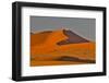 Morning light on the sand dunes of Sossusvlei, Namibia-Darrell Gulin-Framed Photographic Print