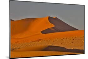 Morning light on the sand dunes of Sossusvlei, Namibia-Darrell Gulin-Mounted Photographic Print