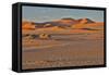 Morning light on the sand dunes of Sossusvlei, Namibia-Darrell Gulin-Framed Stretched Canvas