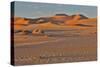 Morning light on the sand dunes of Sossusvlei, Namibia-Darrell Gulin-Stretched Canvas