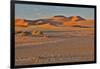 Morning light on the sand dunes of Sossusvlei, Namibia-Darrell Gulin-Framed Photographic Print