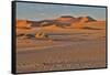 Morning light on the sand dunes of Sossusvlei, Namibia-Darrell Gulin-Framed Stretched Canvas