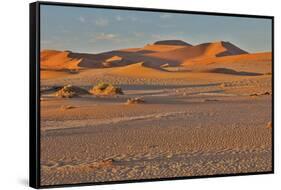 Morning light on the sand dunes of Sossusvlei, Namibia-Darrell Gulin-Framed Stretched Canvas