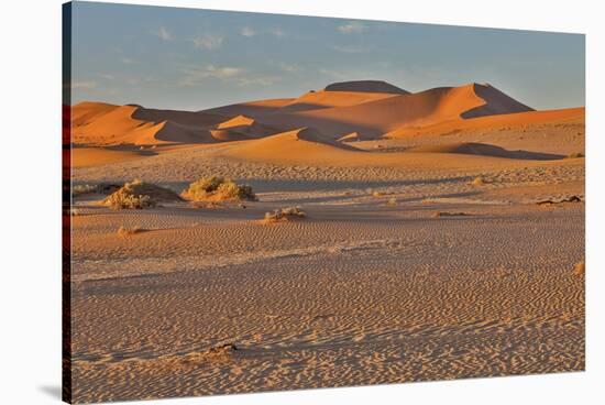 Morning light on the sand dunes of Sossusvlei, Namibia-Darrell Gulin-Stretched Canvas