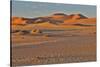 Morning light on the sand dunes of Sossusvlei, Namibia-Darrell Gulin-Stretched Canvas