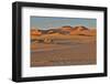 Morning light on the sand dunes of Sossusvlei, Namibia-Darrell Gulin-Framed Photographic Print
