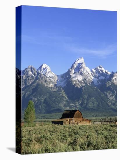 Morning Light on the Tetons and Old Barn, Grand Teton National Park, Wyoming, USA-Howie Garber-Stretched Canvas