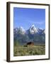 Morning Light on the Tetons and Old Barn, Grand Teton National Park, Wyoming, USA-Howie Garber-Framed Premium Photographic Print