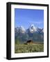 Morning Light on the Tetons and Old Barn, Grand Teton National Park, Wyoming, USA-Howie Garber-Framed Photographic Print