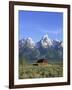 Morning Light on the Tetons and Old Barn, Grand Teton National Park, Wyoming, USA-Howie Garber-Framed Photographic Print