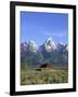 Morning Light on the Tetons and Old Barn, Grand Teton National Park, Wyoming, USA-Howie Garber-Framed Photographic Print