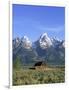 Morning Light on the Tetons and Old Barn, Grand Teton National Park, Wyoming, USA-Howie Garber-Framed Photographic Print