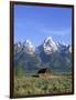 Morning Light on the Tetons and Old Barn, Grand Teton National Park, Wyoming, USA-Howie Garber-Framed Photographic Print