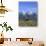 Morning Light on the Tetons and Old Barn, Grand Teton National Park, Wyoming, USA-Howie Garber-Photographic Print displayed on a wall