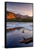 Morning Light on Whiteface Mountain and Spring Thaw on Copperas Pond, Adirondack Park-null-Framed Stretched Canvas