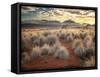 Morning Light over Desert Dunes, Mountains and Sun-Lit Grasses in the Namibrand, Namibia, Sw Africa-Frances Gallogly-Framed Stretched Canvas