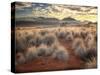 Morning Light over Desert Dunes, Mountains and Sun-Lit Grasses in the Namibrand, Namibia, Sw Africa-Frances Gallogly-Stretched Canvas