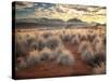 Morning Light over Desert Dunes, Mountains and Sun-Lit Grasses in the Namibrand, Namibia, Sw Africa-Frances Gallogly-Stretched Canvas