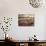 Morning Light over Desert Dunes, Mountains and Sun-Lit Grasses in the Namibrand, Namibia, Sw Africa-Frances Gallogly-Photographic Print displayed on a wall