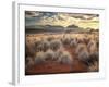 Morning Light over Desert Dunes, Mountains and Sun-Lit Grasses in the Namibrand, Namibia, Sw Africa-Frances Gallogly-Framed Photographic Print